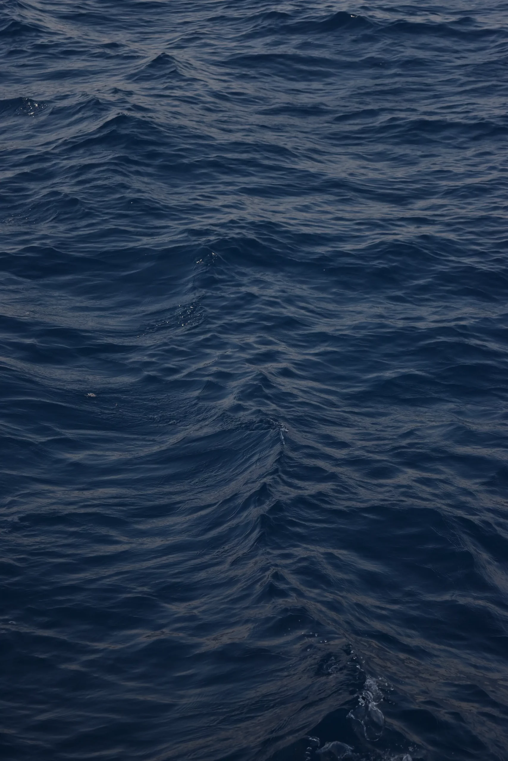 Toutes cap et engagées, Août 2023